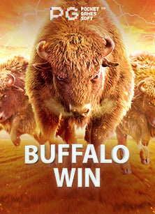 slotxo มา แรง กับประสบการณ์ทดลองเล่นที่ไม่ควรพลาด